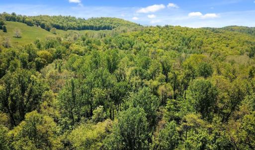 Photo #4 of BLUE RIDGE - LEEDS MANOR ROAD, DELAPLANE, VA 11.8 acres