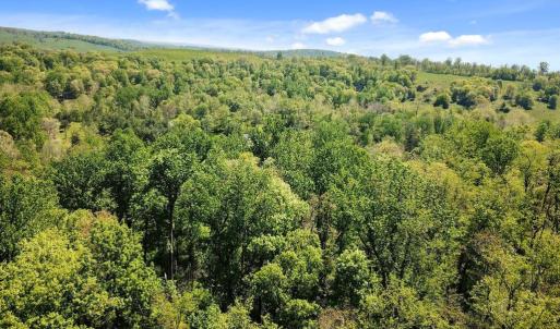 Photo #5 of BLUE RIDGE - LEEDS MANOR ROAD, DELAPLANE, VA 11.8 acres