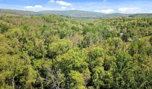 Photo #6 of BLUE RIDGE - LEEDS MANOR ROAD, DELAPLANE, VA 11.8 acres