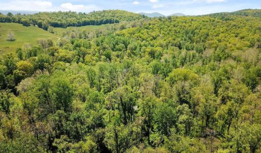Photo #7 of BLUE RIDGE - LEEDS MANOR ROAD, DELAPLANE, VA 11.8 acres