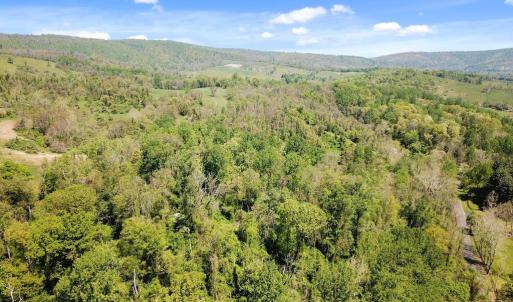 Photo #8 of BLUE RIDGE - LEEDS MANOR ROAD, DELAPLANE, VA 11.8 acres