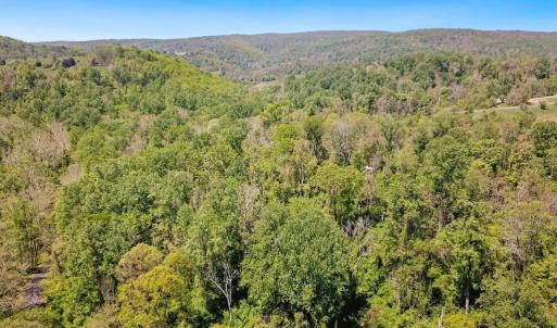 Photo #9 of BLUE RIDGE - LEEDS MANOR ROAD, DELAPLANE, VA 11.8 acres