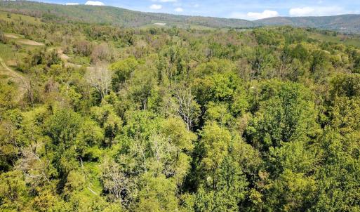 Photo #10 of BLUE RIDGE - LEEDS MANOR ROAD, DELAPLANE, VA 11.8 acres
