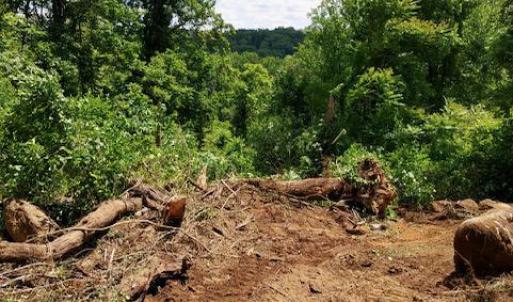 Photo #11 of BLUE RIDGE - LEEDS MANOR ROAD, DELAPLANE, VA 11.8 acres