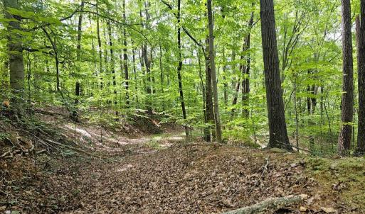 Photo #2 of GAAR MOUNTAIN RD, MADISON, VA 19.5 acres