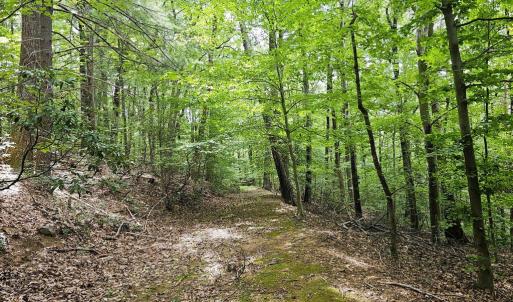 Photo #4 of GAAR MOUNTAIN RD, MADISON, VA 19.5 acres