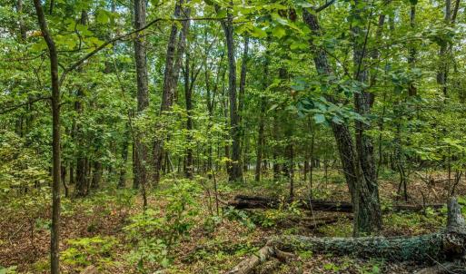 Photo #8 of FORT VALLEY, LURAY, VA 3.2 acres