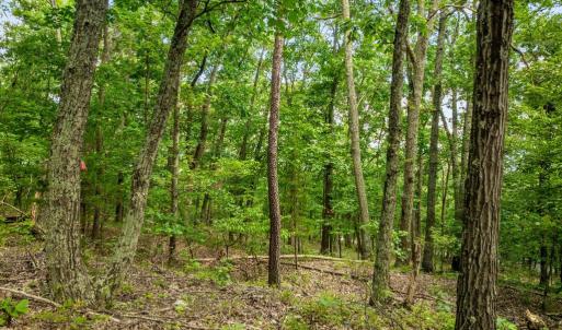 Photo #17 of FORT VALLEY, LURAY, VA 3.2 acres