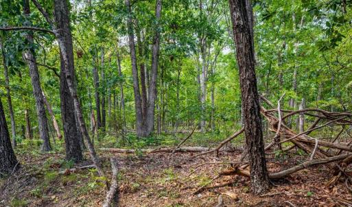 Photo #15 of FORT VALLEY, LURAY, VA 3.2 acres
