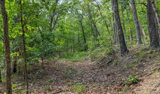 Photo #13 of FORT VALLEY, LURAY, VA 3.2 acres