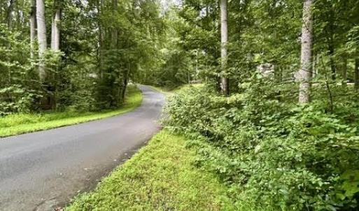 Photo #5 of LAKESHORE DR, LOUISA, VA 0.6 acres