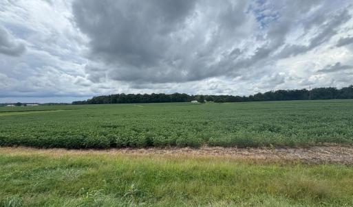 Photo #1 of 11378 TIMBUKTU LN, MIDLAND, VA 79.7 acres