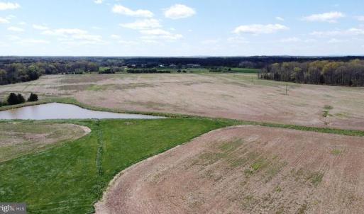 Photo #20 of 11312 TIMBUKTU LN, MIDLAND, VA 213.5 acres