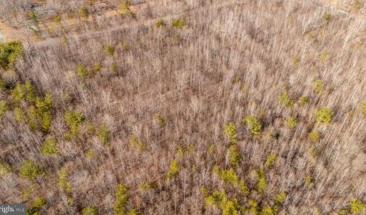 Photo #5 of 82 COSNER RD, LOUISA, VA 7.1 acres