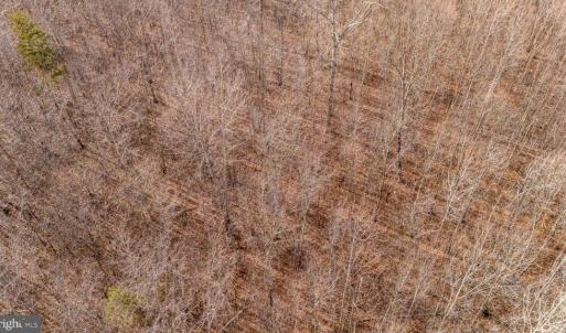 Photo #9 of 82 COSNER RD, LOUISA, VA 7.1 acres