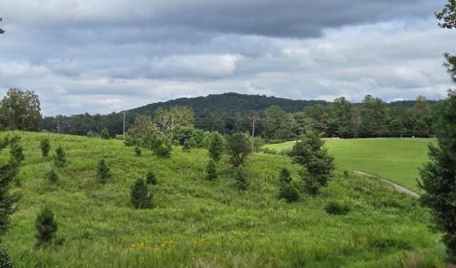 Photo #1 of WEAVER HOLLOW RD, BANCO, VA 3.0 acres