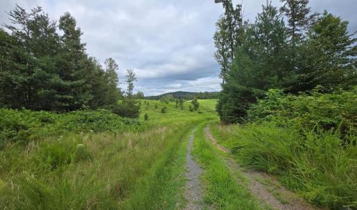 Photo #11 of WEAVER HOLLOW RD, BANCO, VA 3.0 acres