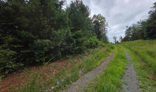 Photo #9 of WEAVER HOLLOW RD, BANCO, VA 3.0 acres