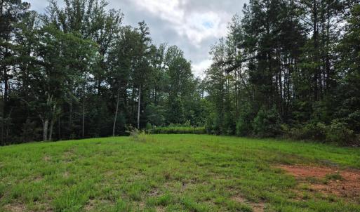 Photo #8 of WEAVER HOLLOW RD, BANCO, VA 3.0 acres
