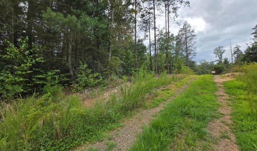 Photo #10 of WEAVER HOLLOW RD, BANCO, VA 3.0 acres