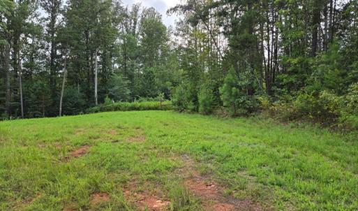 Photo #6 of WEAVER HOLLOW RD, BANCO, VA 3.0 acres