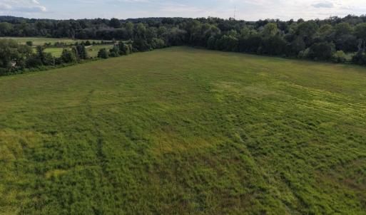 Photo #3 of OAK SHADE, JEFFERSONTON, VA 16.9 acres