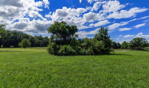 Photo #11 of OAK SHADE, JEFFERSONTON, VA 16.9 acres
