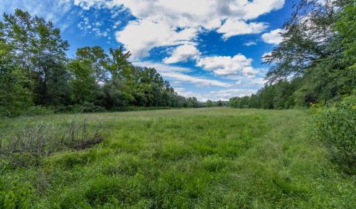 Photo #9 of OAK SHADE, JEFFERSONTON, VA 16.9 acres