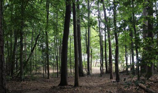 Photo #7 of 60 LAURELWOOD DR, BUMPASS, VA 1.9 acres