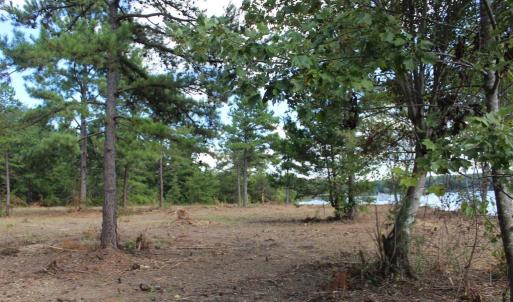 Photo #5 of 60 LAURELWOOD DR, BUMPASS, VA 1.9 acres