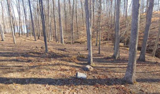Photo #4 of 15220 LOST HORIZON LN, FREDERICKSBURG, VA 5.1 acres