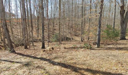 Photo #5 of 15220 LOST HORIZON LN, FREDERICKSBURG, VA 5.1 acres