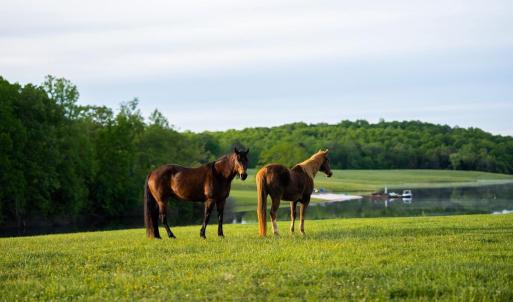 Photo #2 of 6887 BLENHEIM ROAD, SCOTTSVILLE, VA 400.0 acres