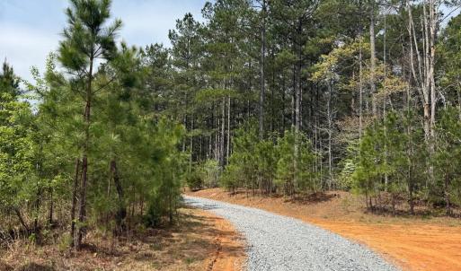 Photo #6 of  30.0 acres
