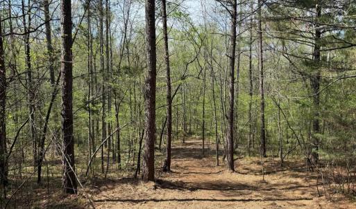 Photo #8 of  30.0 acres