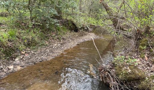 Photo #12 of  30.0 acres