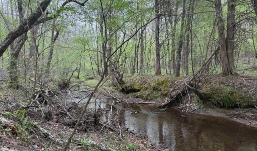 Photo #1 of  36.2 acres