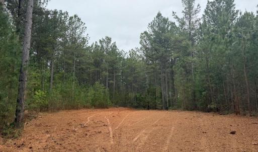 Photo #8 of  36.2 acres