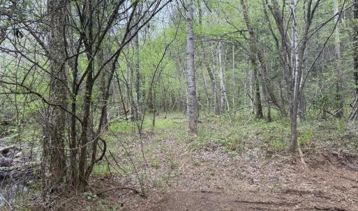 Photo #15 of  36.2 acres