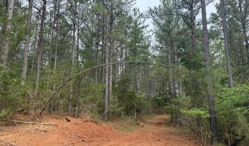 Photo #21 of  36.2 acres