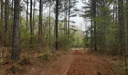 Photo #25 of  36.2 acres