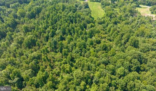 Photo #12 of HUNTERS RIDGE LN, UNIONVILLE, VA 6.9 acres