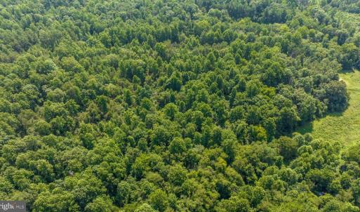Photo #13 of HUNTERS RIDGE LN, UNIONVILLE, VA 6.9 acres