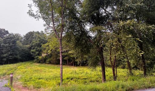 Photo #17 of HUNTERS RIDGE LN, UNIONVILLE, VA 6.9 acres