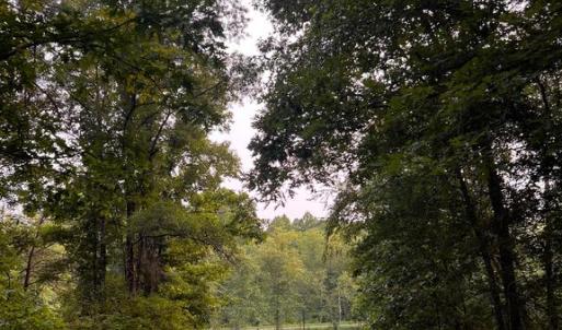 Photo #20 of HUNTERS RIDGE LN, UNIONVILLE, VA 6.9 acres
