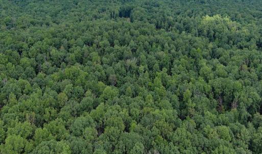 Photo #1 of JUSTICE DR, GORDONSVILLE, VA 31.2 acres