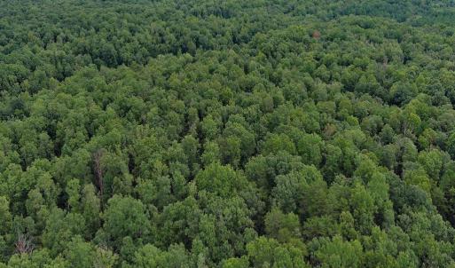Photo #3 of JUSTICE DR, GORDONSVILLE, VA 31.2 acres