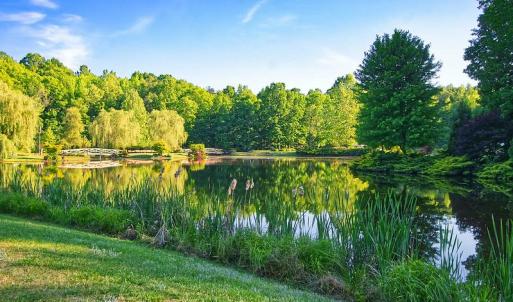 Photo #8 of 7017 MORRIS RD, SPOTSYLVANIA, VA 30.4 acres