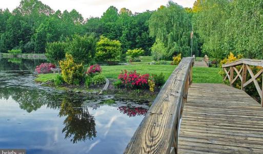 Photo #10 of 7017 MORRIS RD, SPOTSYLVANIA, VA 30.4 acres