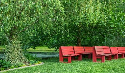 Photo #12 of 7017 MORRIS RD, SPOTSYLVANIA, VA 30.4 acres